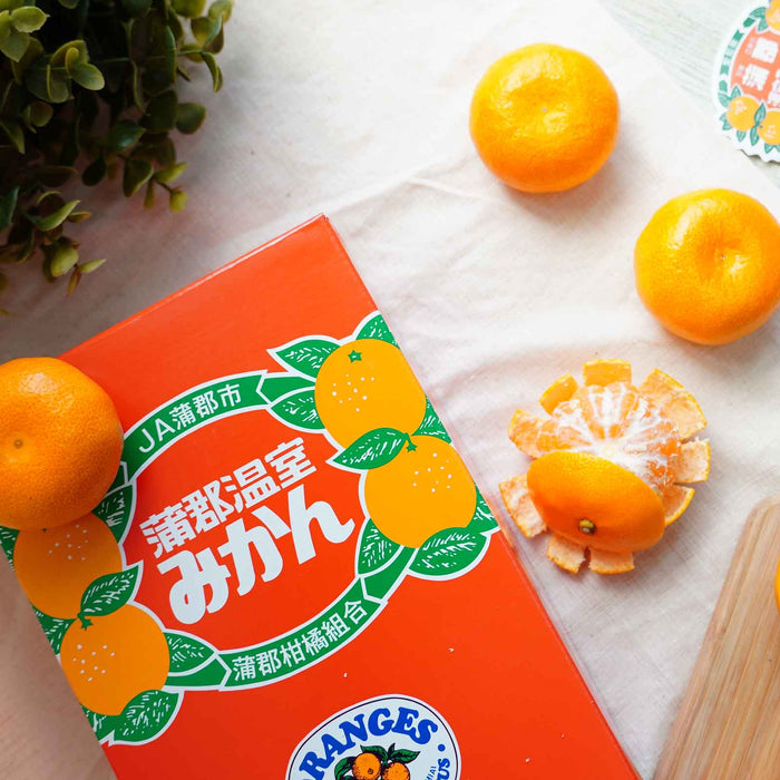 🍊 Japanese Mikan Mandarin 愛知県産 蒲郡温室みかん  1.2Kg