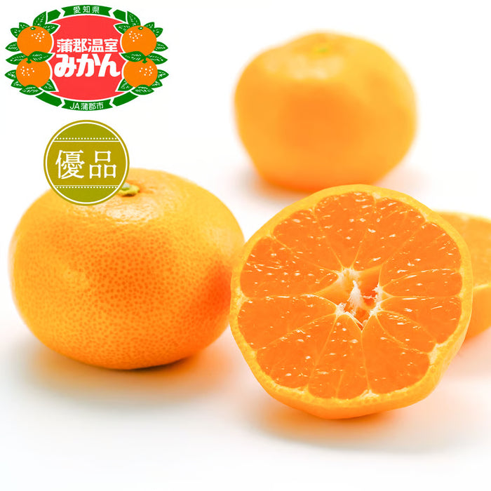 🍊 Japanese Mikan Mandarin 愛知県産 蒲郡温室みかん  1.2Kg