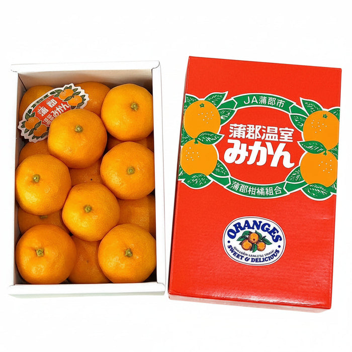 🍊 Japanese Mikan Mandarin 愛知県産 蒲郡温室みかん  1.2Kg