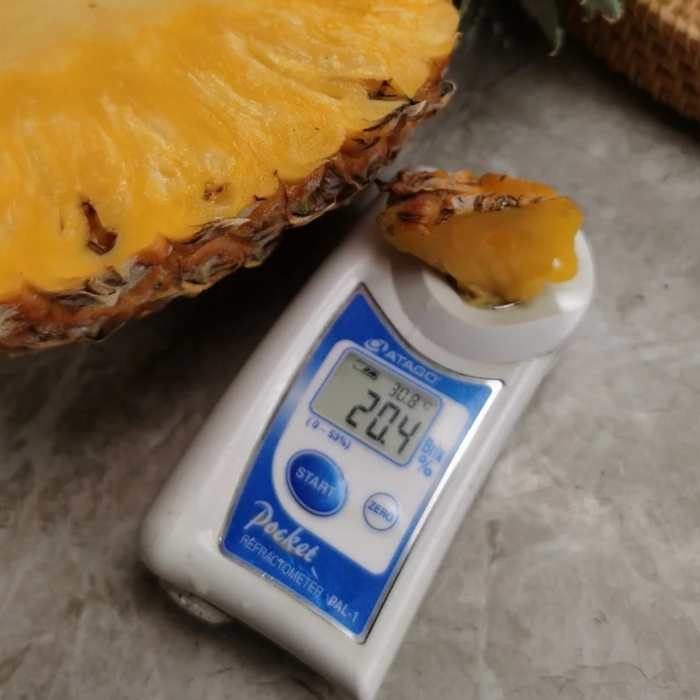 🍍 Mango Pineapple – Hainan Tropical Premium 🍍Spe: 8CT / 6KG / BOX
