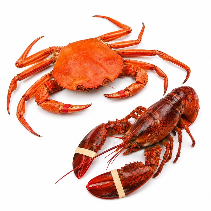 🦀🦞 Atlantic Red Crab & Lobster Combo Fresh Box.