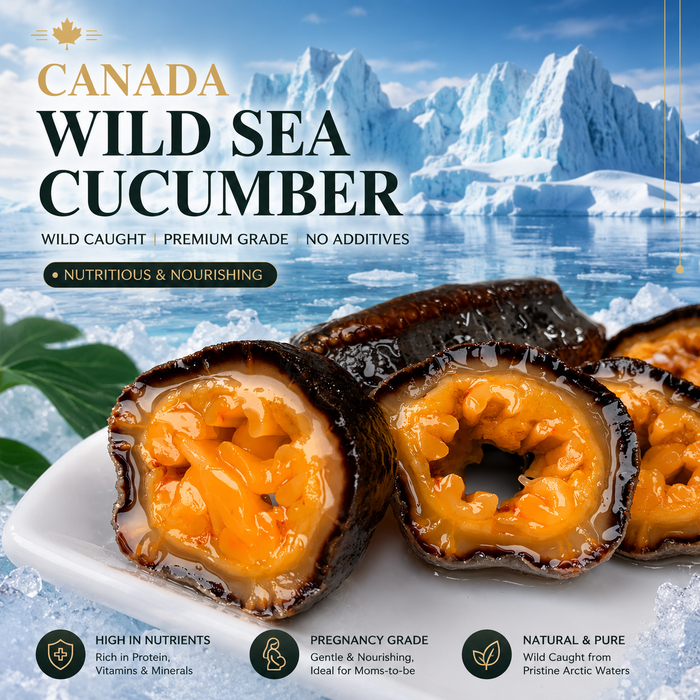 Canadian Arctic Sea Cucumber – Premium Wild Nutrition from the Deep North 🇨🇦❄️