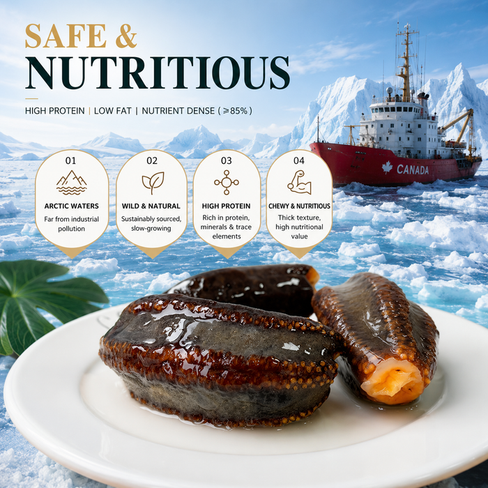 Canadian Arctic Sea Cucumber – Premium Wild Nutrition from the Deep North 🇨🇦❄️
