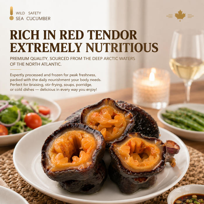 Canadian Arctic Sea Cucumber – Premium Wild Nutrition from the Deep North 🇨🇦❄️