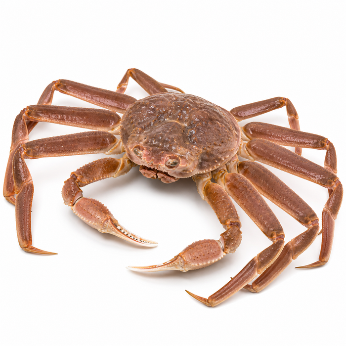 Mother’s Day Premium Seafood Combo (Pre-Order)