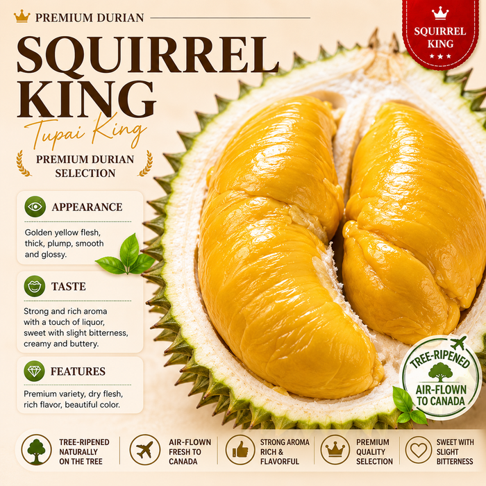 🇸🇬🇲🇾 Singapore & Malaysia Durian Season Celebration ✈️🇨🇦