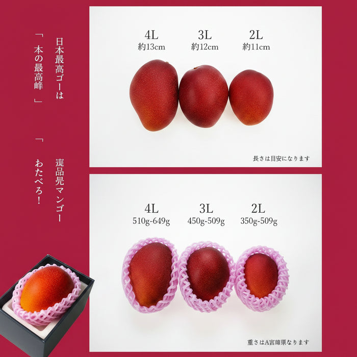 ☀️ The Legendary “Sun Egg-太阳のタマゴ” Mango from Japan
