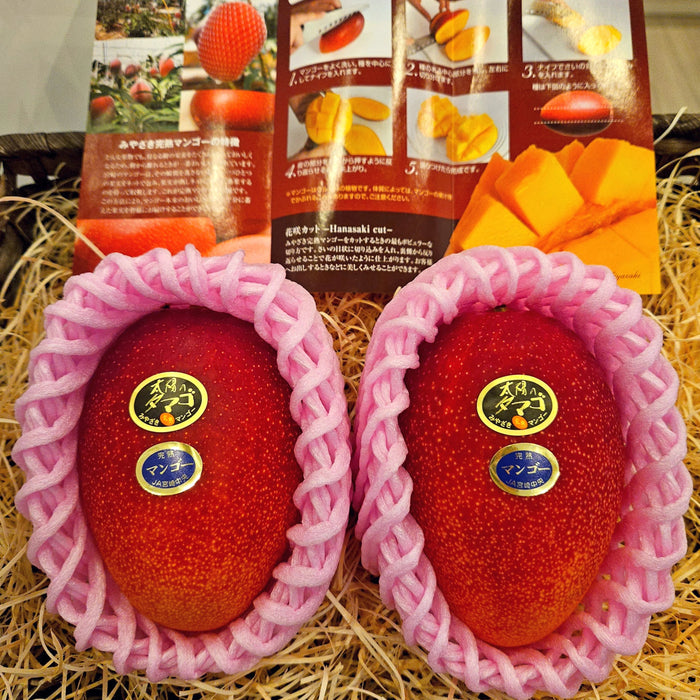 ☀️ The Legendary “Sun Egg-太阳のタマゴ” Mango from Japan