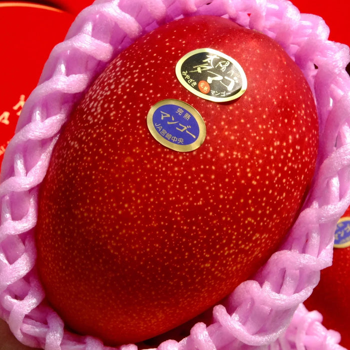 ☀️ The Legendary “Sun Egg-太阳のタマゴ” Mango from Japan