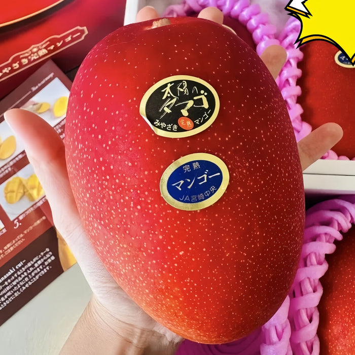 ☀️ The Legendary “Sun Egg-太阳のタマゴ” Mango from Japan