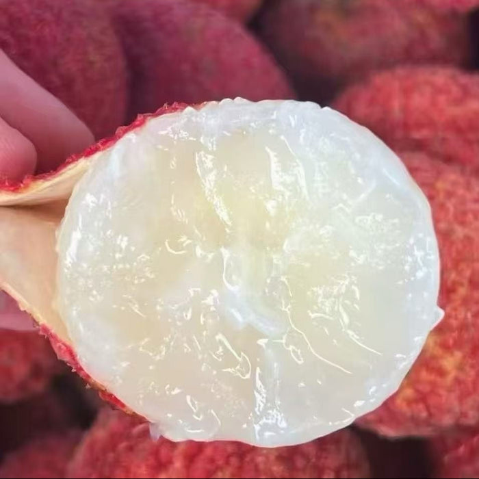 Seedless Lychee – Pure Sweetness, No Pit, No Hassle. (5Kg/Box)