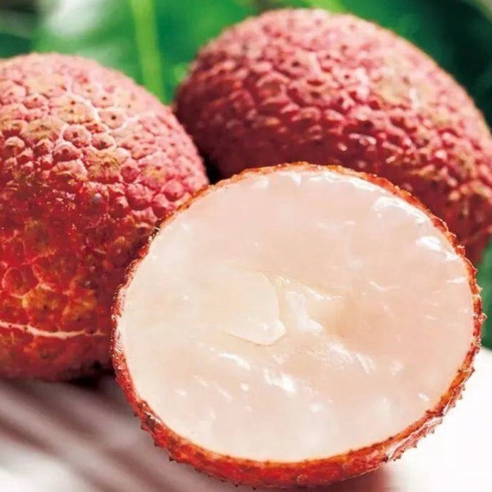 Seedless Lychee – Pure Sweetness, No Pit, No Hassle. (5Kg/Box)