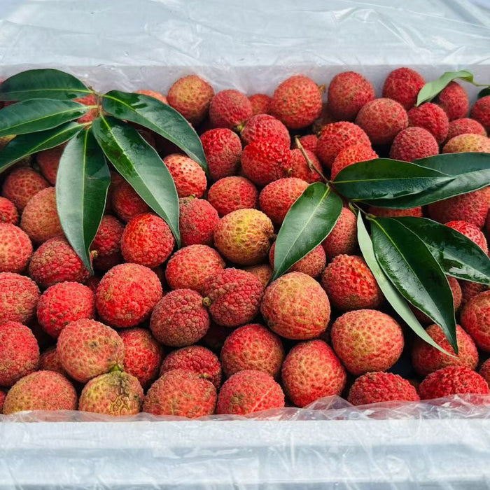 Seedless Lychee – Pure Sweetness, No Pit, No Hassle. (5Kg/Box)