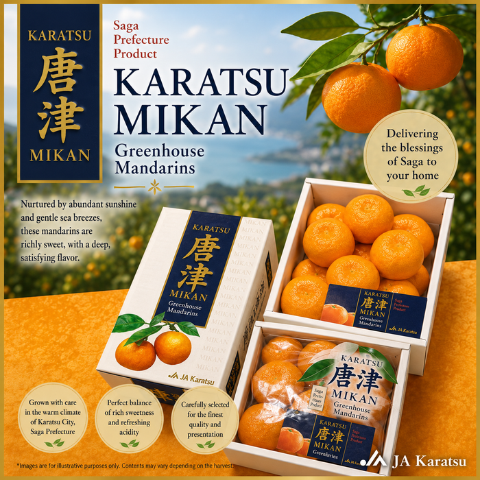 🍊 🇯🇵 Premium Japanese Greenhouse Mikan | Sweet & Juicy Japanese Citrus
