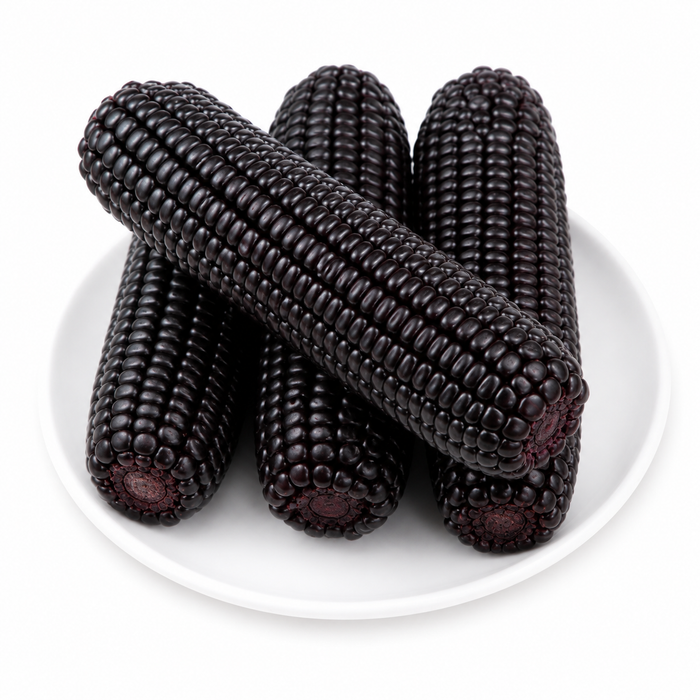 CORN BROTHER Premium Black Glutinous Corn – Sweet Non-GMO Sticky Corn (10pcs)