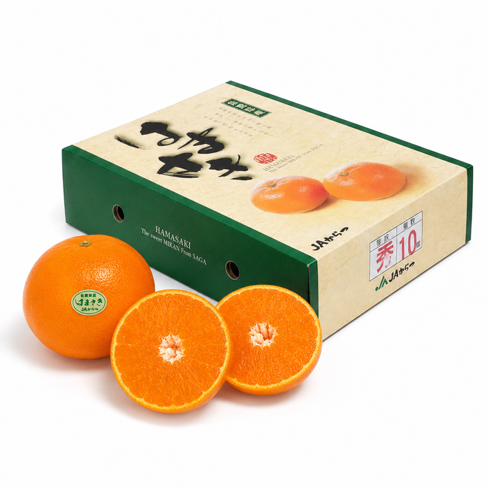 Japan Saga 濱崎みかん (Hamasaki Mikan Unshu) – Premium Sweet Citrus Gift Box ギフト箱 (L Size 3Kg 10CT)