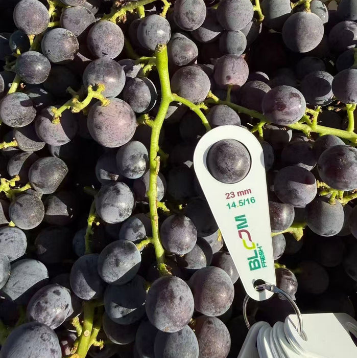 🇺🇸California Greenhouse Black Vine Kyoho Grapes 6X3 lbs/Box