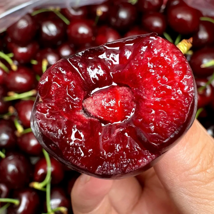 WASHINGTON STATE RED & RAINIER CHERRIES 🇺🇸