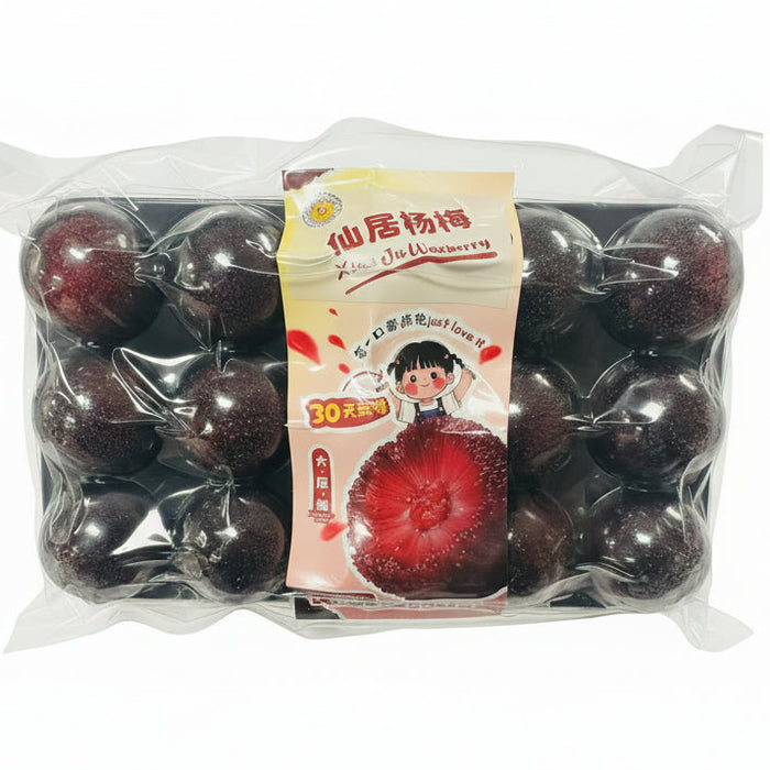Baby Berry – Premium Yunnan Waxberry 🍒✨  (250g/Tray)