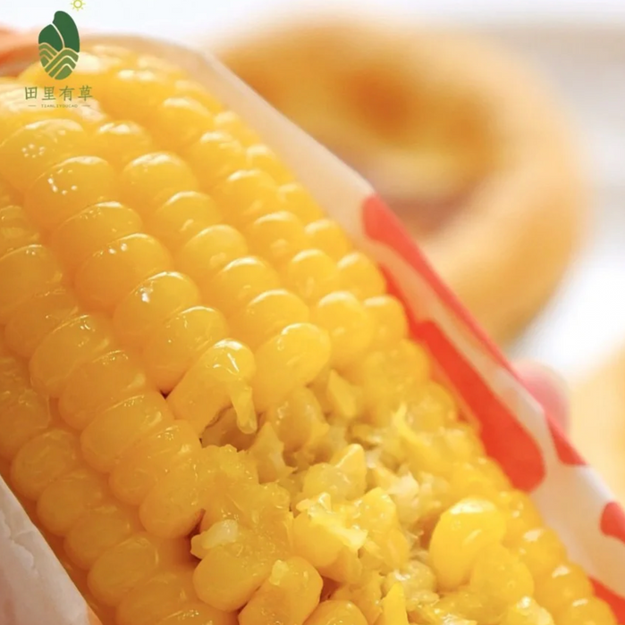 TianLiYouCao Golden Sweet Corn & Fragrant White Corn