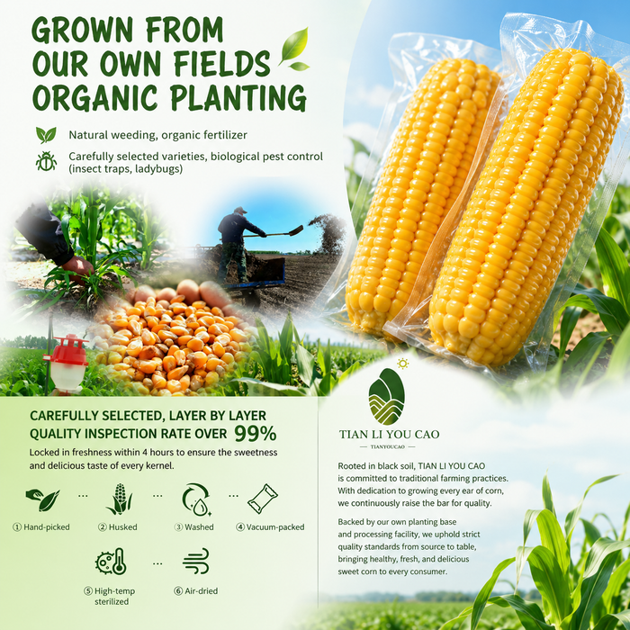 TianLiYouCao Golden Sweet Corn & Fragrant White Corn