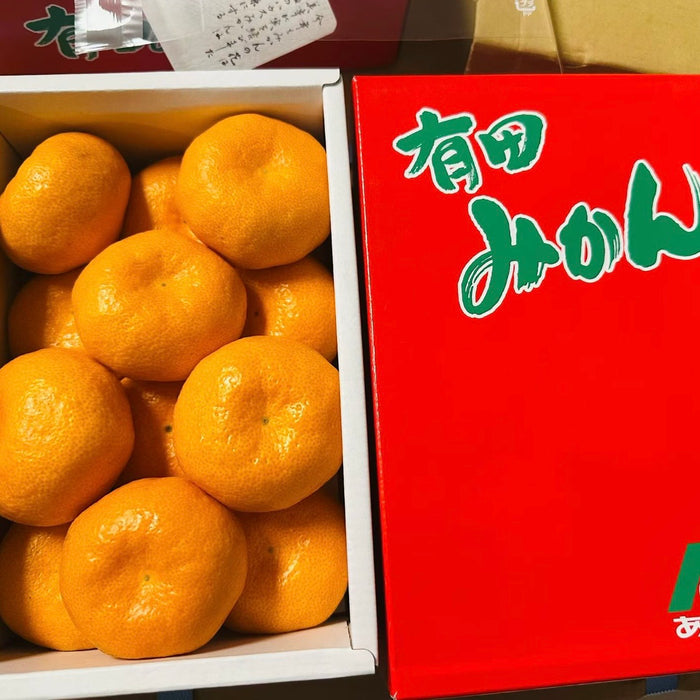 🍊 🇯🇵 Premium Japanese Greenhouse Mikan | Sweet & Juicy Japanese Citrus