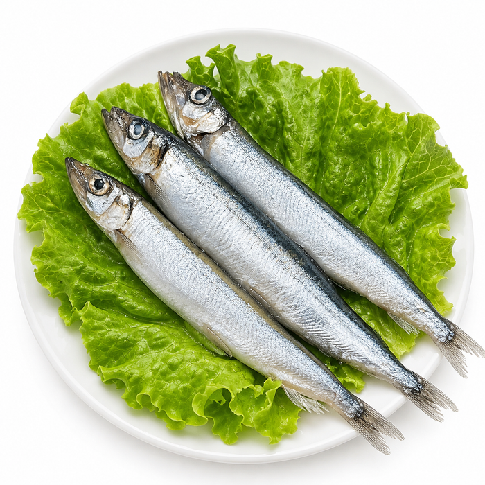 Frozen Capelin (Smelt) – Full of Roe, 9kg/Box – Wild Caught