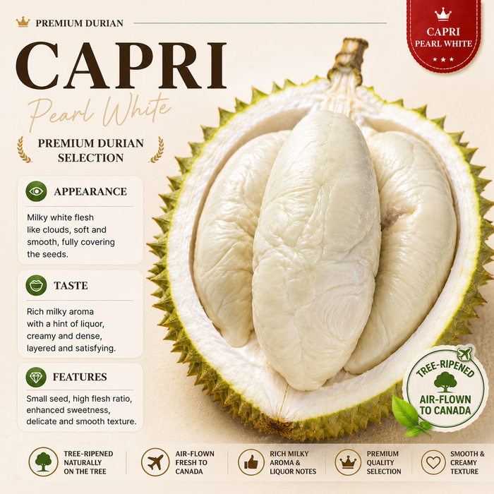 🇸🇬🇲🇾 Singapore & Malaysia Durian Season Celebration ✈️🇨🇦