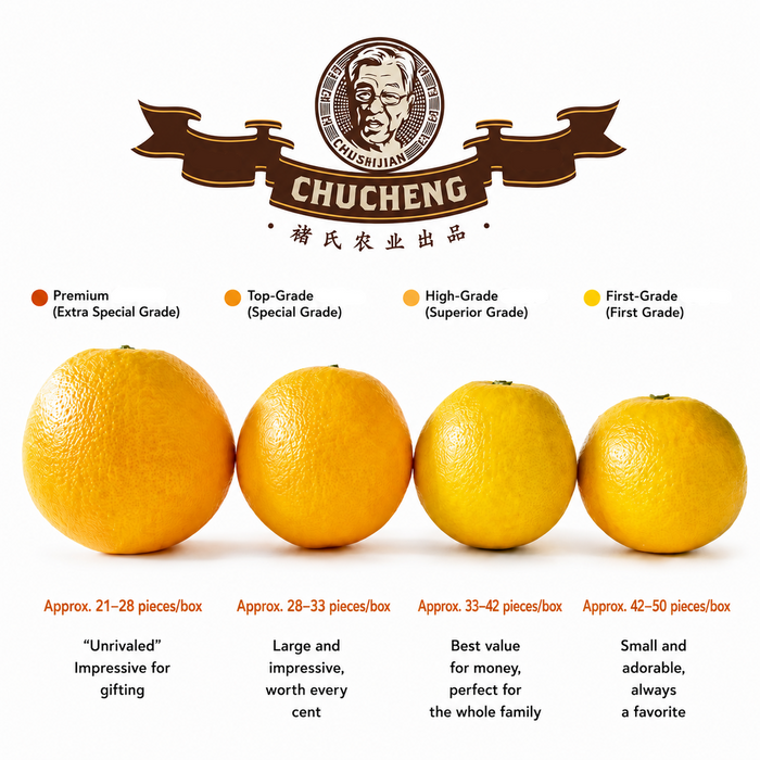 CHUCHENG Premium Orange (XL/5Kg) – Sweet & Juicy Yunnan Citrus