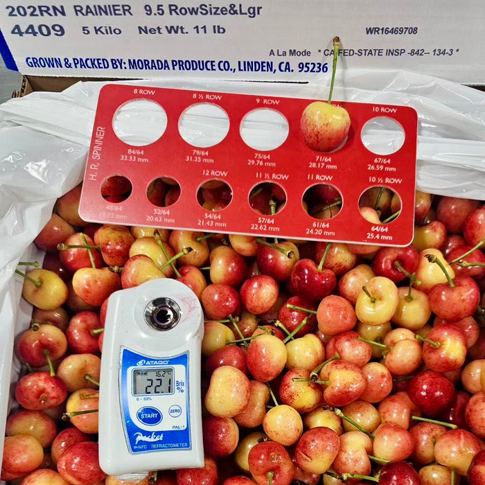 California Rainier Fresh Cherries (9.5R)🍒✨ 1Kg/5Kg
