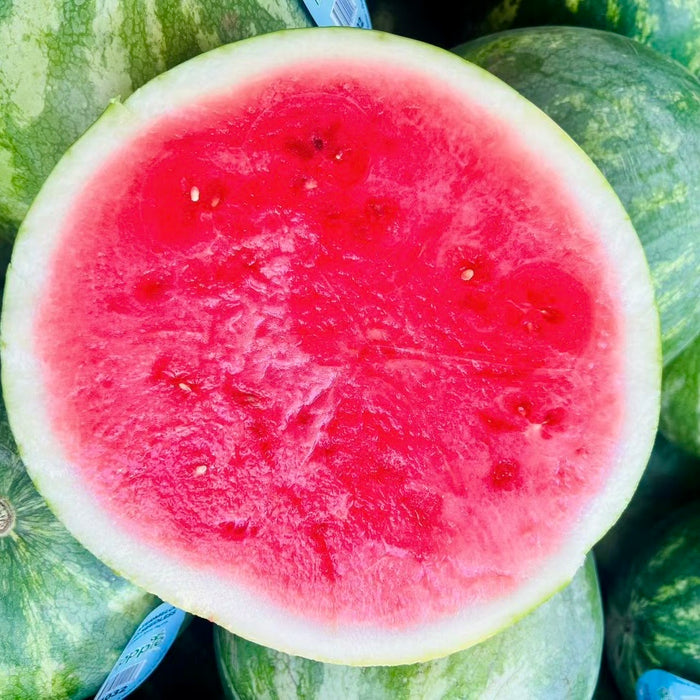 Mexico Seedless Watermelon – Sweet Juicy Red Flesh