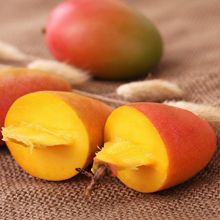 🥭✨ Summer Must-Try • Premium Hainan Guifei Mango 🌴☀️