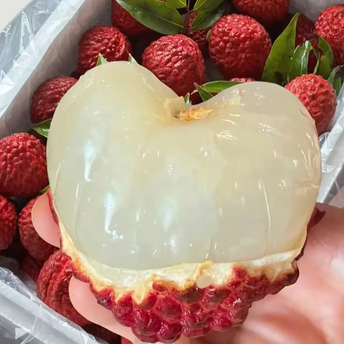 Premium Air Flown Lychee – Sweet, Juicy & Fragrant Summer Delicacy
