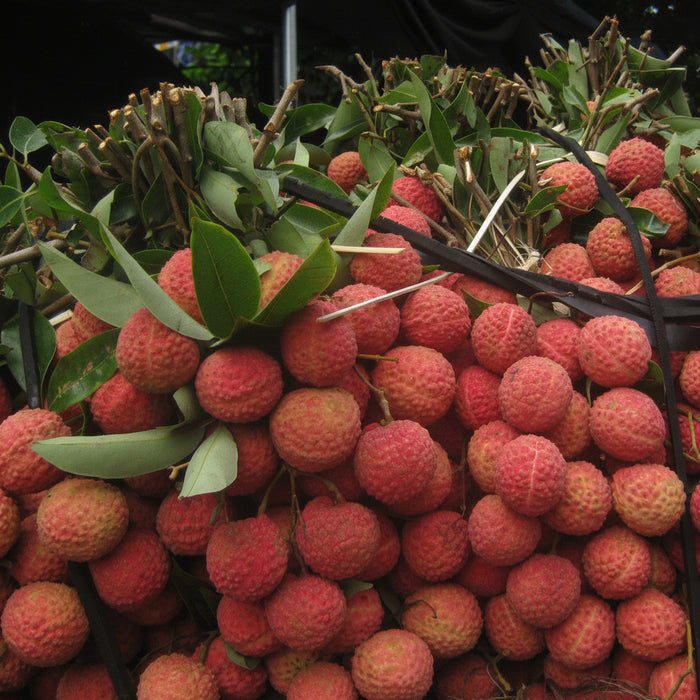Premium Air Flown Lychee – Sweet, Juicy & Fragrant Summer Delicacy