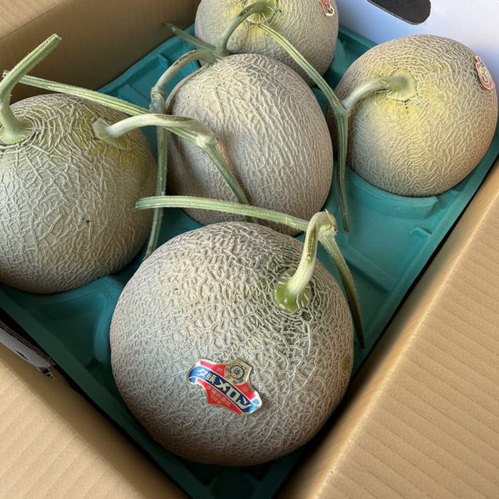 Japan Air-Flown Premium  Melon