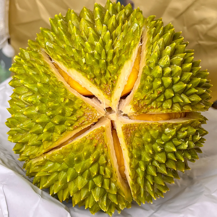 🇸🇬🇲🇾 Singapore & Malaysia Durian Season Celebration ✈️🇨🇦