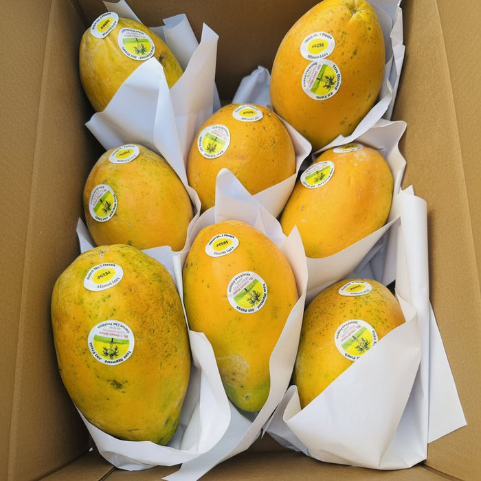 Tree-Ripened Premium  HAWAII Papaya – Air-Flown Fresh  (8/9CT/10 lbs)