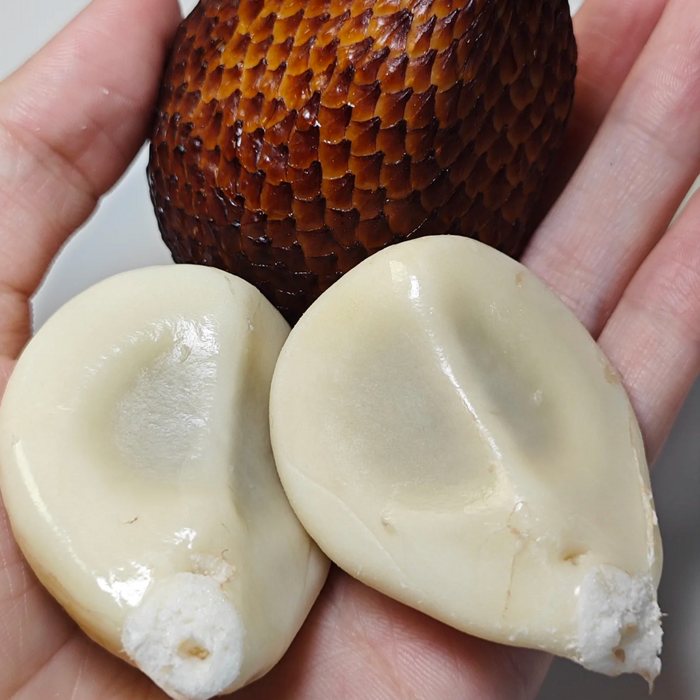 Premium Indonesian Salak Snake Fruit – Exotic Tropical Delight 1Kg/8Kg