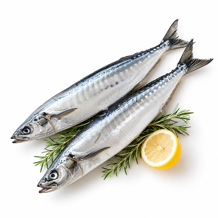 Japanese Imported Frozen Pacific Saury (Sanma)-10Kg/Box