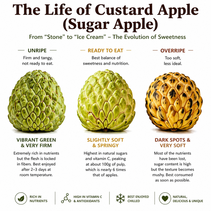Brazil Air-Flown Custard Apple (Sugar Apple) – Premium Tropical Fruit 4Kg