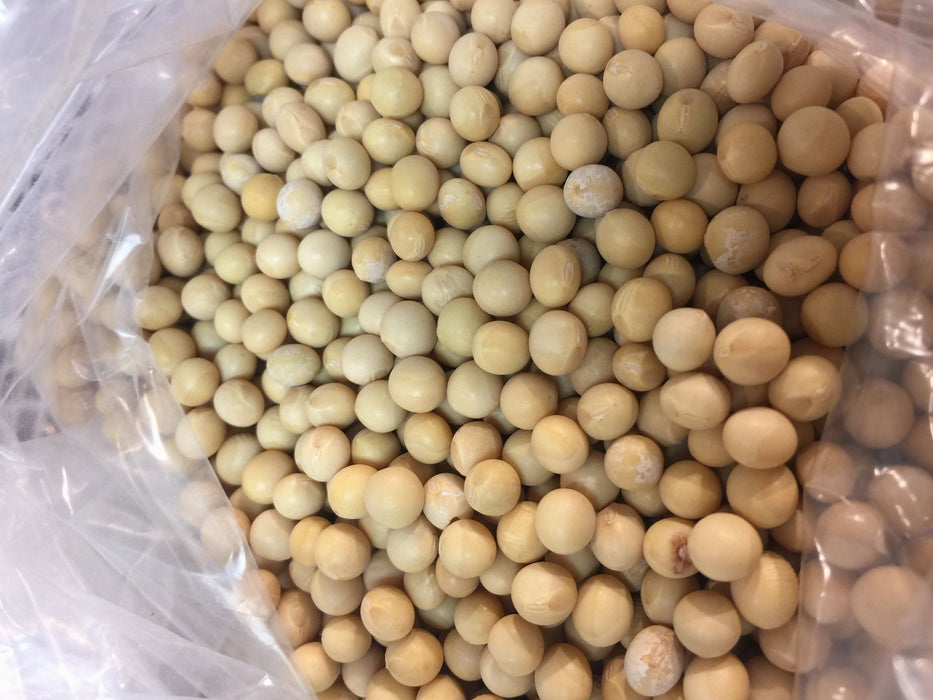 Organic Soy Beans 2pounds 有机健康黄豆2磅