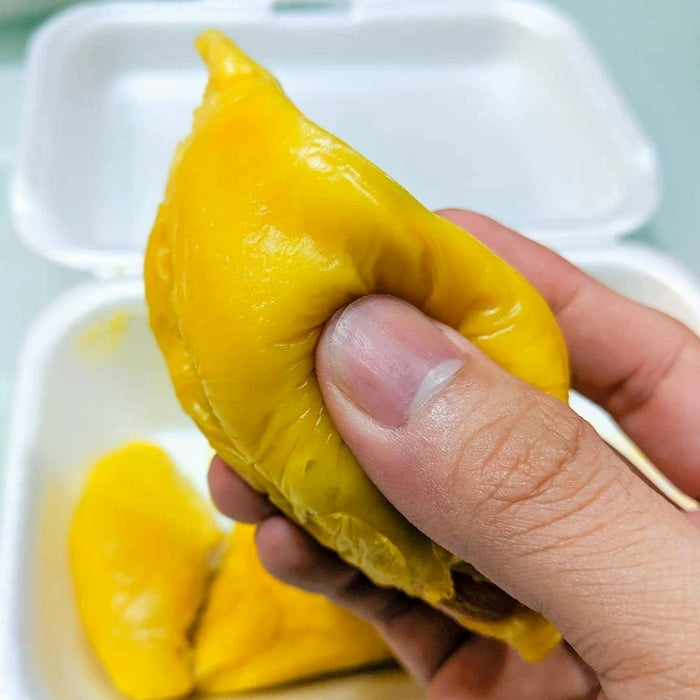 Tropic_Durian Fresh Malaysia Musangking (AAA grade)
