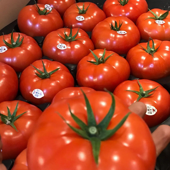 Fresh Local Farm Tomatoes – BC Grown